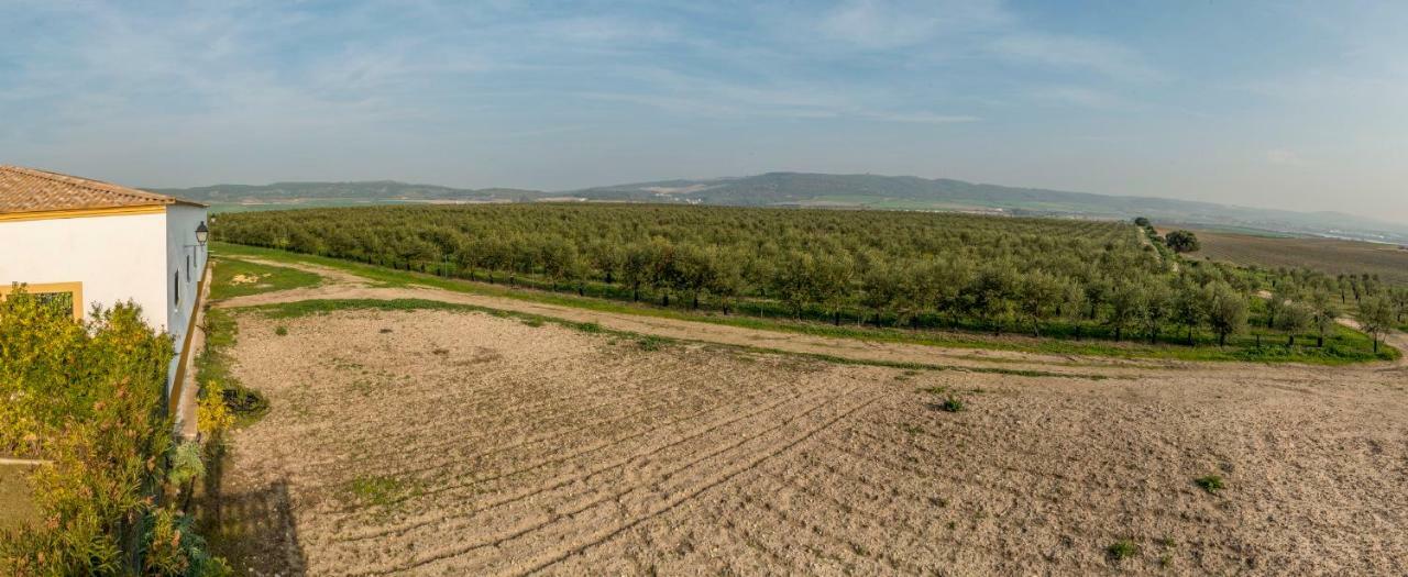Vivienda Rural Olivar De San Telmo Arcos de la Frontera Buitenkant foto