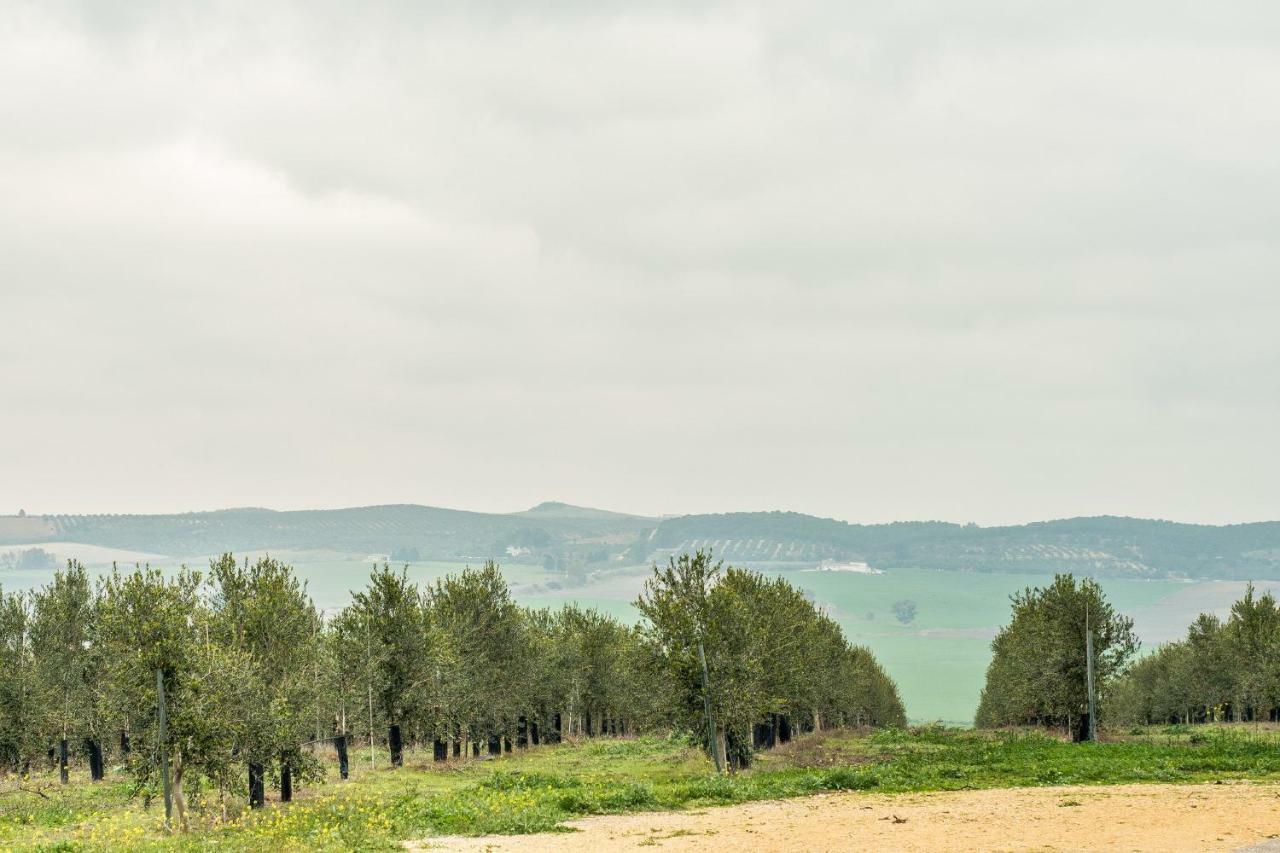 Vivienda Rural Olivar De San Telmo Arcos de la Frontera Buitenkant foto
